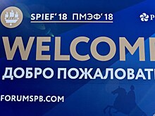 Петербургский аэропорт обслужил за время ПМЭФ-2018 на 15% больше рейсов, чем годом ранее