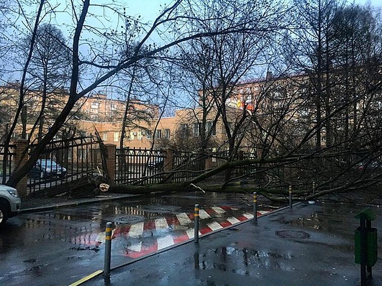 Из-за урагана прекратили свою работу парк Горького и ВДНХ.