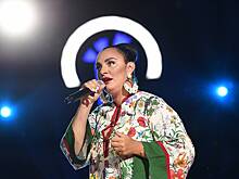 Продюсер заявил о завершении карьеры Ваенги