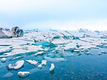 «Цифровизация Арктики  —  не дань моде, а потребность»