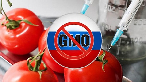 Роспотребнадзор не нашел ГМО в Курганской области