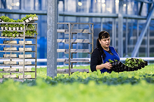 Минсельхоз предложил снизить ставку для аграриев до 5 процентов