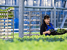 Минсельхоз предложил снизить ставку для аграриев до 5 процентов