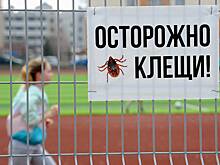 Названы регионы с самым широким распространением клещевого энцефалита