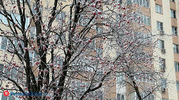 10 января в Пензенской области ожидается мокрый снег