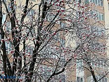 10 января в Пензенской области ожидается мокрый снег