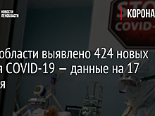 В Чечне началась электрификация возрождаемого горного Галанчожского района