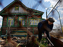 Уплати за дачку: полный гид по налогам на загородный дом