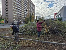 Более 500 оренбуржцев приняли участие в городском субботнике