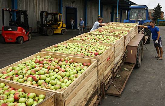 Россия запретила ввоз растительной продукции из Молдавии