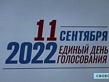 «Единая Россия» получит по списку семь мандатов в Саратовской областной думе. Избирком утвердил результаты выборов