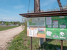 В Госдуме разъяснили, можно ли в СНТ вести предпринимательскую деятельность