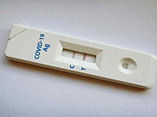 Данные об антителах внесут в сертификат с QR-кодом