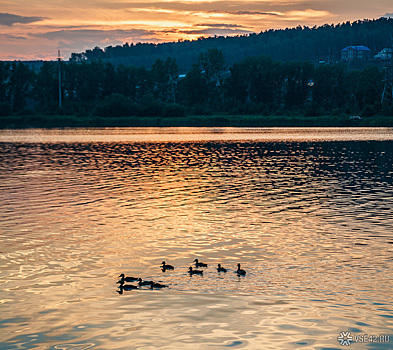 Современное место отдыха появится на кемеровском Красном озере