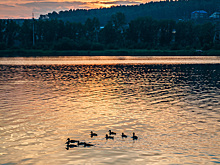 Современное место отдыха появится на кемеровском Красном озере