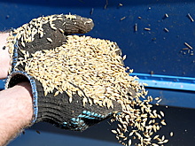 Евросоюз призвал проверять российское зерно при покупке