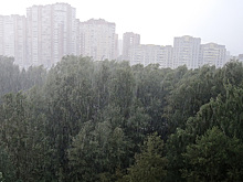 Стало известно, когда получат электричество все соцобъекты Подмосковья