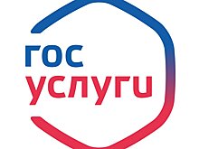 Госуслуг стало больше