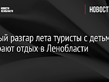 В самый разгар лета туристы с детьми выбирают отдых в Ленобласти