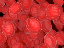 В НГТУ создали коллектор для выращивания искусственных кровеносных сосудов