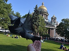 В возрасте 86 лет умер поэт и автор гимна Санкт-Петербурга Олег Чупров