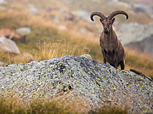 Тур к турам