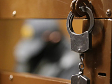 В Москве арестованы сотрудники кол-центров за хищения у граждан Сербии