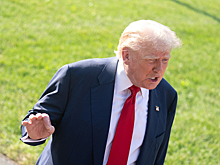 В России оценили, может ли Трамп повлиять на ситуацию в Израиле и секторе Газа