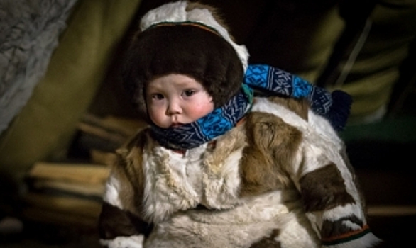 Взгляд из кочевого детства. «Жизнь Арктики» запечатлели на 160 снимках
