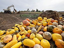 Предприниматели приграничья поделились острейшими проблемами текущего момента