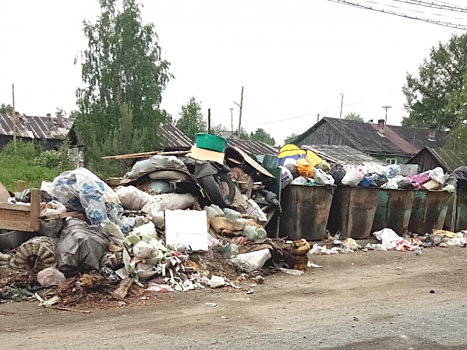 Мусорный переполох в Чалне: карельский поселок утонул в бытовых отходах