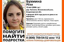 Во Владимирской области без вести пропала 13-летняя девочка