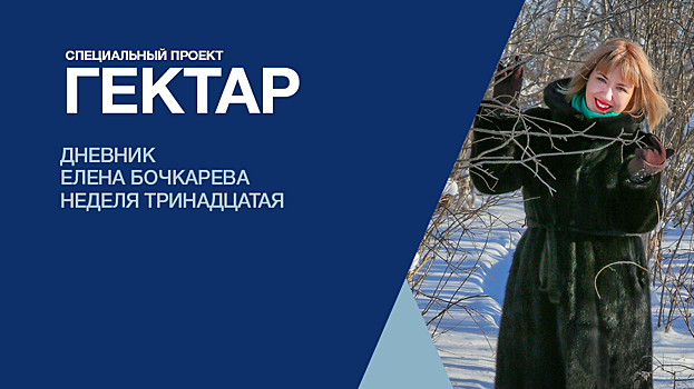 Осталось подписать договор на гектар — продолжаем редакционный эксперимент