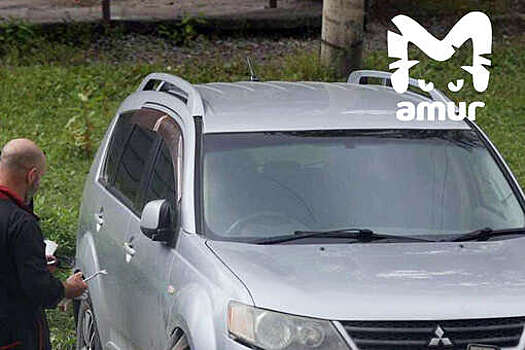 В Хабаровске стая собак погрызла кроссовер Mitsubishi Outlander