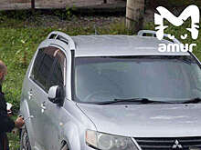 В Хабаровске стая собак погрызла кроссовер Mitsubishi Outlander