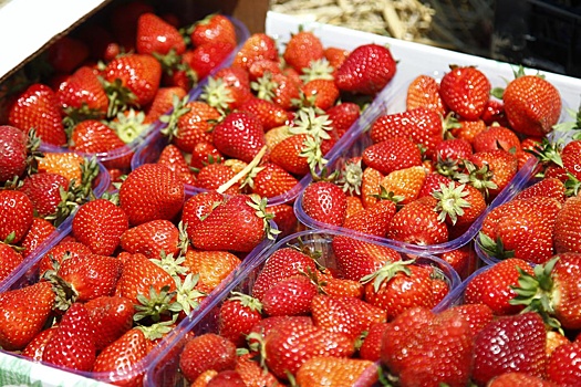 В морские порты Кубани ввезли первые 300 тонн клубники