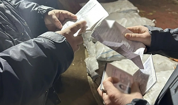 Двух нелегальных мигрантов депортируют из России после рейда под Волгоградом