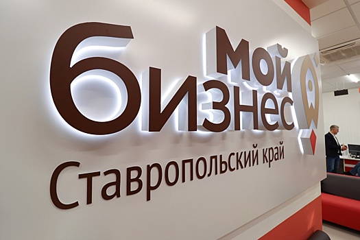 На Ставрополье назвали ключевые направления внешнеторговой деятельности