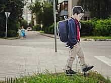 Рядом с дорогой в Подмосковье появились пугающие дети