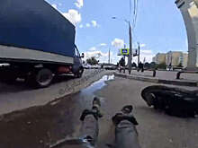 В Краснодаре на видео попало, как моноколесник влетел в "Газель"