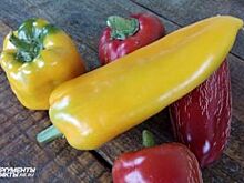 В Воронеже уничтожили 150 кг санкционного свежего перца