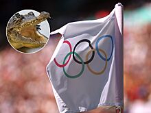 Олимпиада 2032 года в Брисбене: соревнования по гребле на байдарках и каноэ пройдут в реке с крокодилами