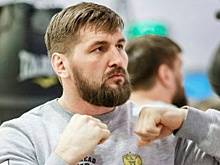 Минаков: бой Хабиб — Фергюсон уже неинтересен