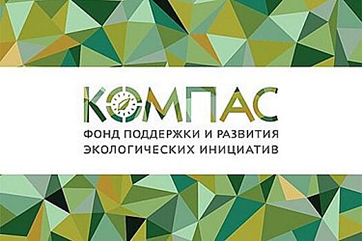 Поддержкой общественных организаций и экологическим просвещением будут заниматься в России