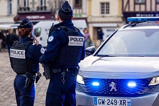 Грабитель Лувра сообщил об организаторах со «славянским акцентом»