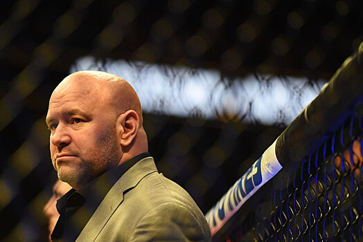 Президент UFC Дэна Уайт намерен заняться организацией боксёрских поединков