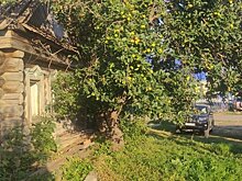 Непарламентский прием: депутата в Татарстане заподозрили в нападении с ножом