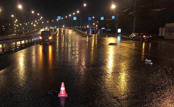 Задавившего пешехода водителя пожалели новосибирцы