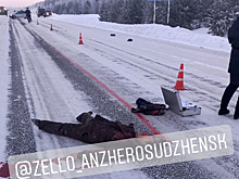 Очевидцы сообщили о погибшем на кузбасской трассе человеке