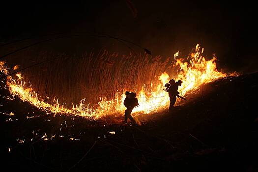 Три региона России предупредили о высокой опасности пожаров